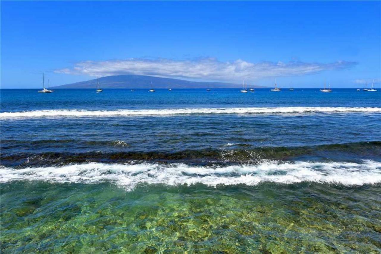 1 Bedroom Ocean Front Condo In Lahaina Town - Sleeps 4 - Lahaina Roads #204 Exterior foto